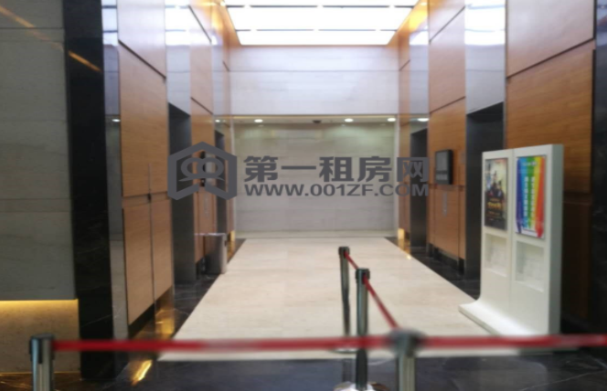莘莊龍之夢
